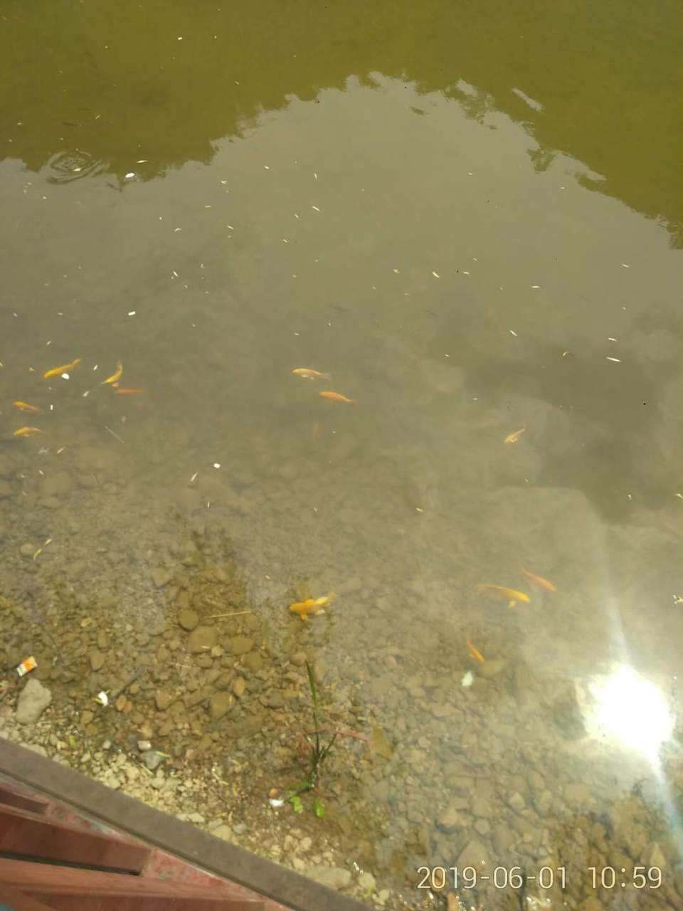 crhBwXIko42LvcU92sCe-0S7BWGp1RupcSWzKFoYhJmUGxHJij6HxAq8QBafgePQ