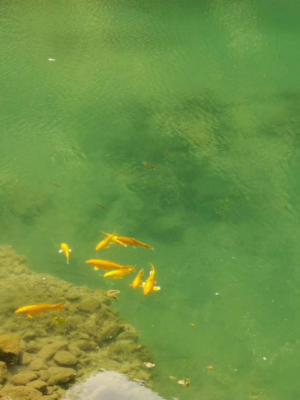 SknvkDs01dLfiSQxOJ65SpiXELwVp9KZYDPHjoLqVZRKoAjhY5eJpjPJMlrp6_7D