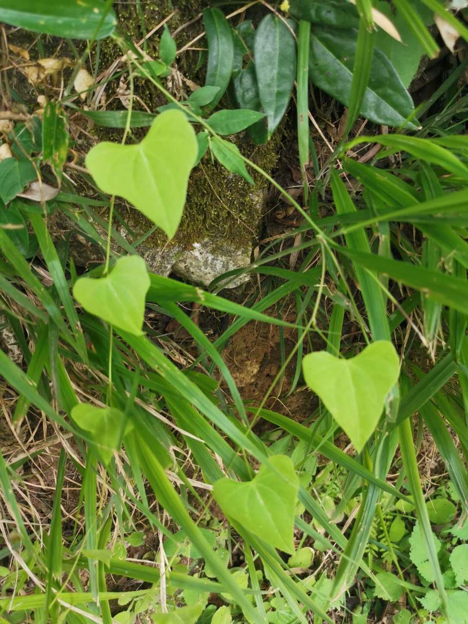 zUE1q_ykTz4s22EHBmYAe_CwWlXVcSBcPYyOWf8zZ1V5IUBCBOVkjJgK5HR48ykt