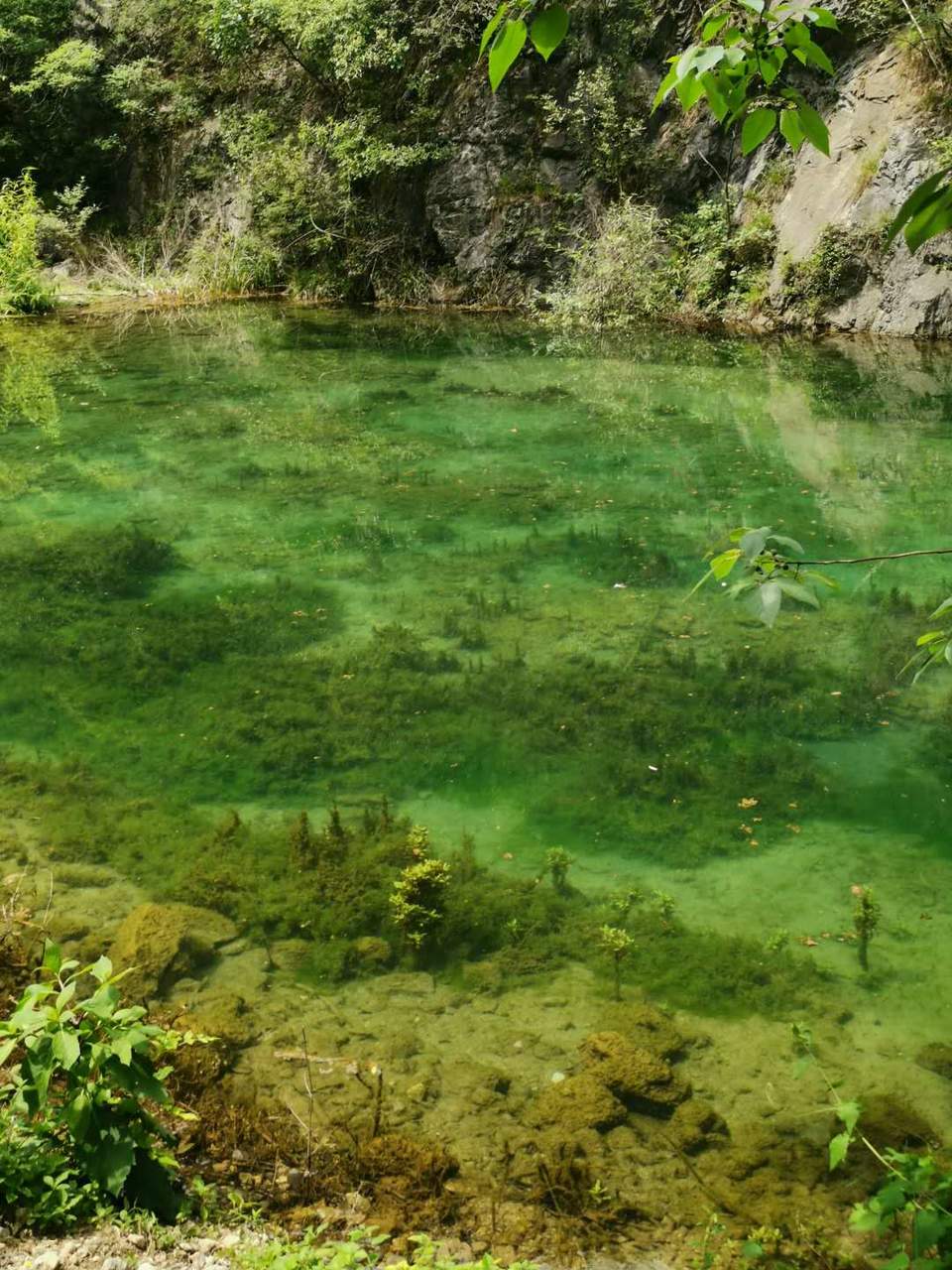 St4NKoK1In__7C17iY43w-uSN7MAooaOG0oKN-54BZUXMWBdIhDbVdHOo8tOaidP