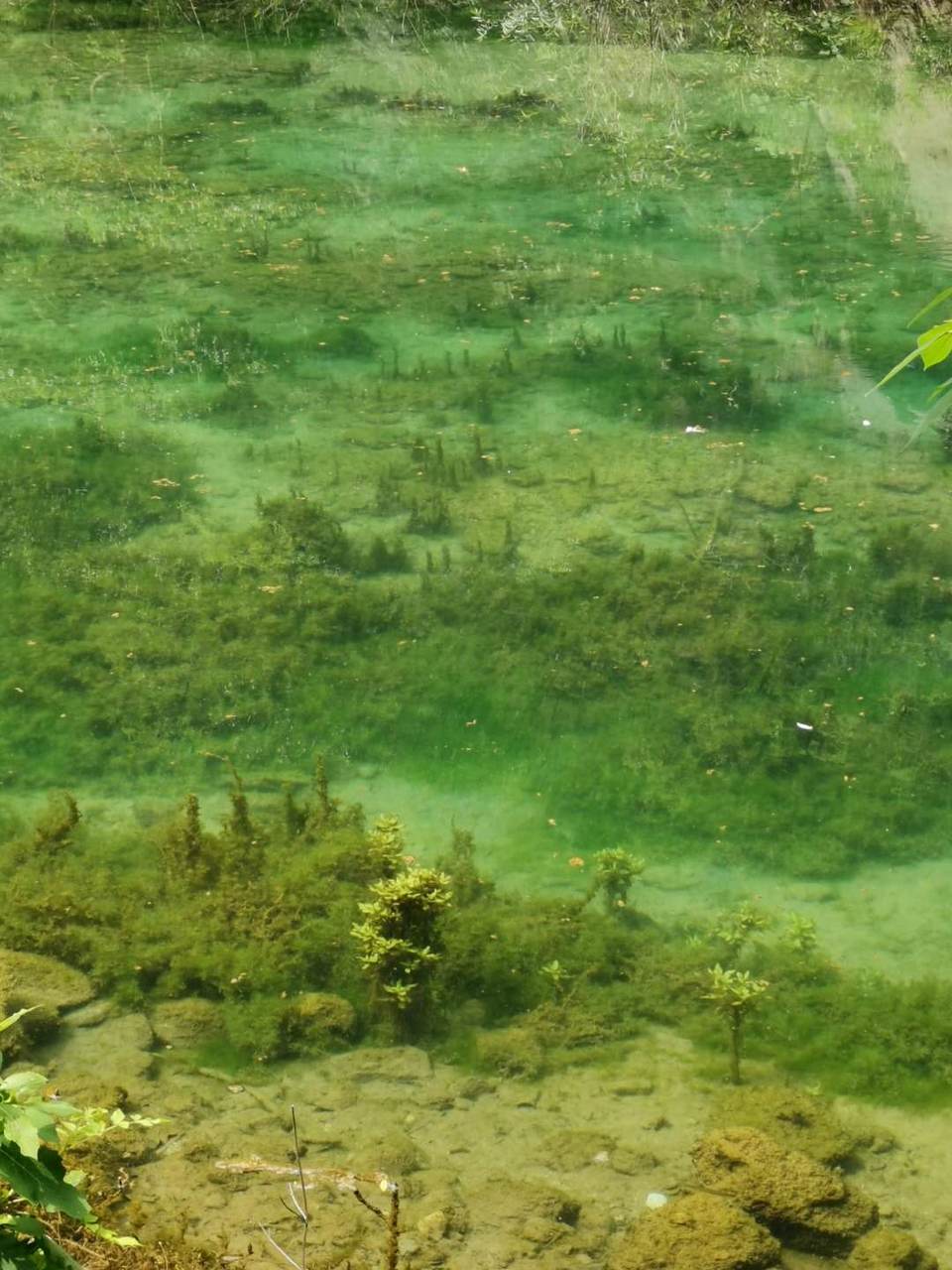 q8GJMIubrYOMb0j3OpDY6pAZF0xV5FQM-7Ib8jGG8kMqA9Ksn-AzKjnKYA3OUd7x