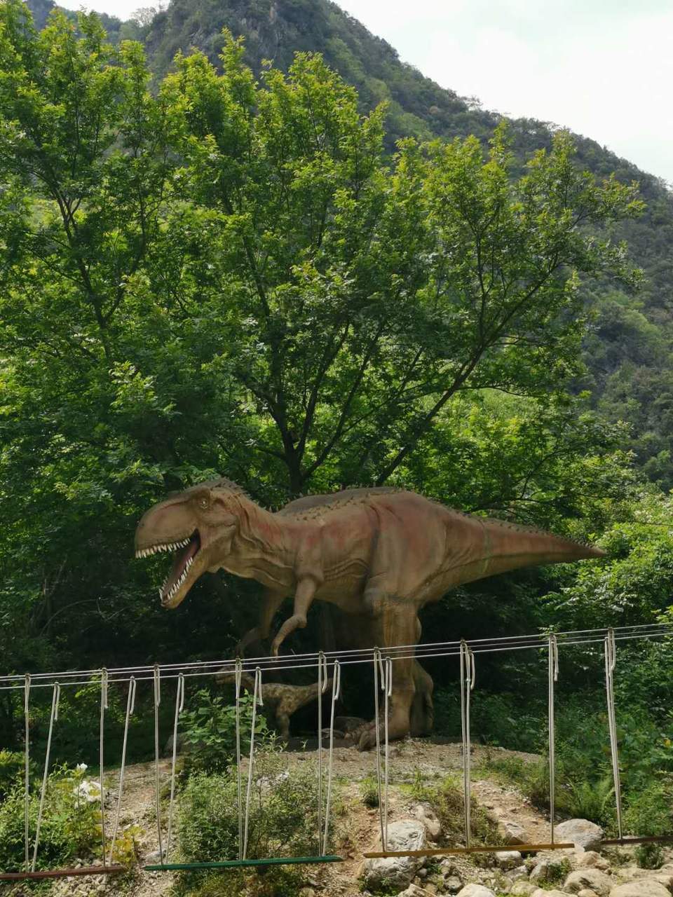 ccWPm0d4nEoyqS01np-s0DpmQReUYLchzThPFxnbvYaDzjipABHKwDbTox7bU4OC