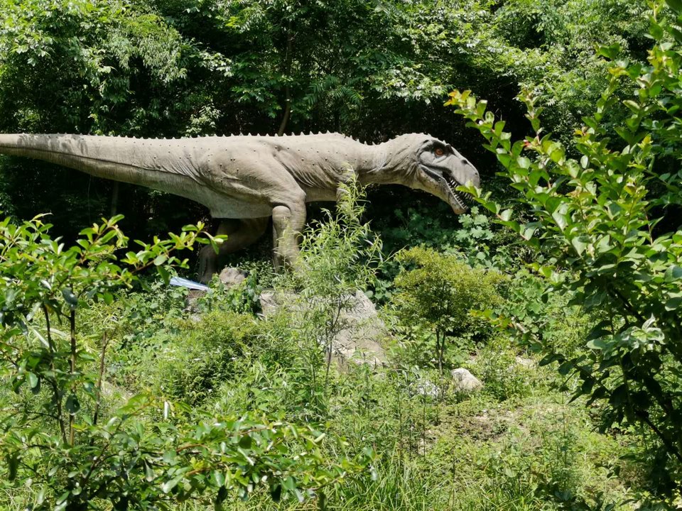 gQ4f81SAVB-hrwueJX39BwgIYs0H27H0NEBL6rJPmdG_CNE3wCJYHQj2HiOaTlnx