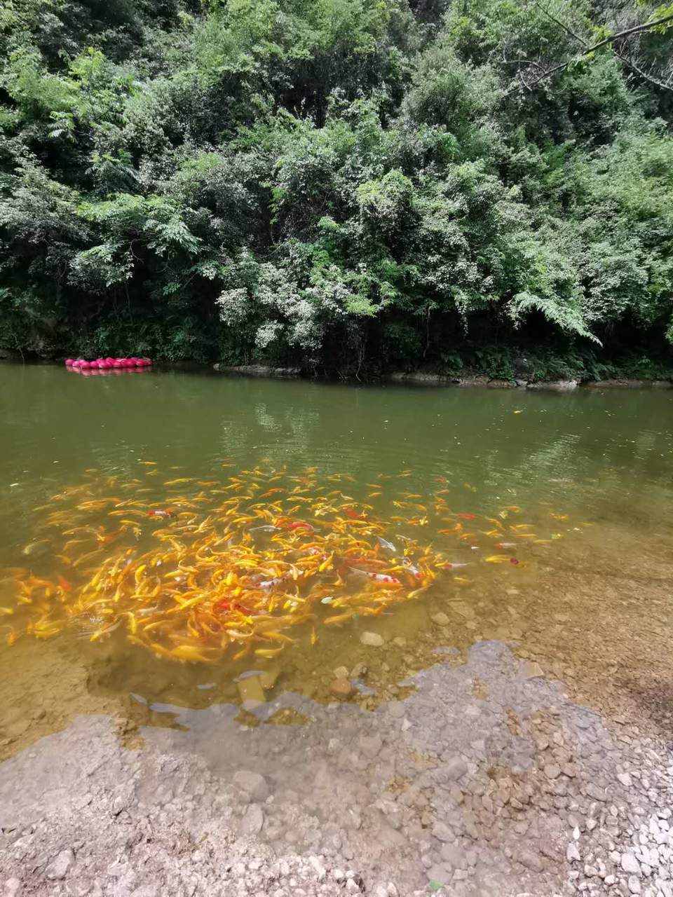 wUr82115x9fQWajobGAke7Ayg_VZA9-3TPq1jdnAIs4Ea7c9XJyxrEl8W91OCDHJ