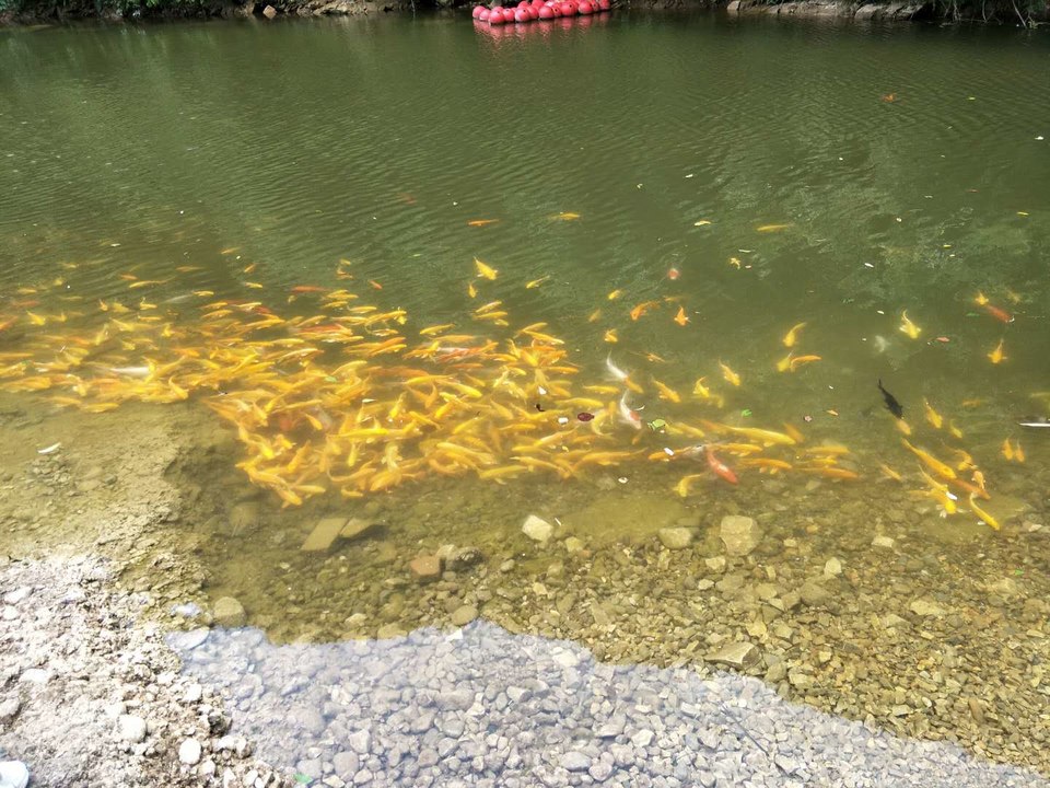 pg06tZSRI9I7Yx6w257_vsz2gtjyK533xycFWBWod6UN5pemKESHq3C2NWrGhngl