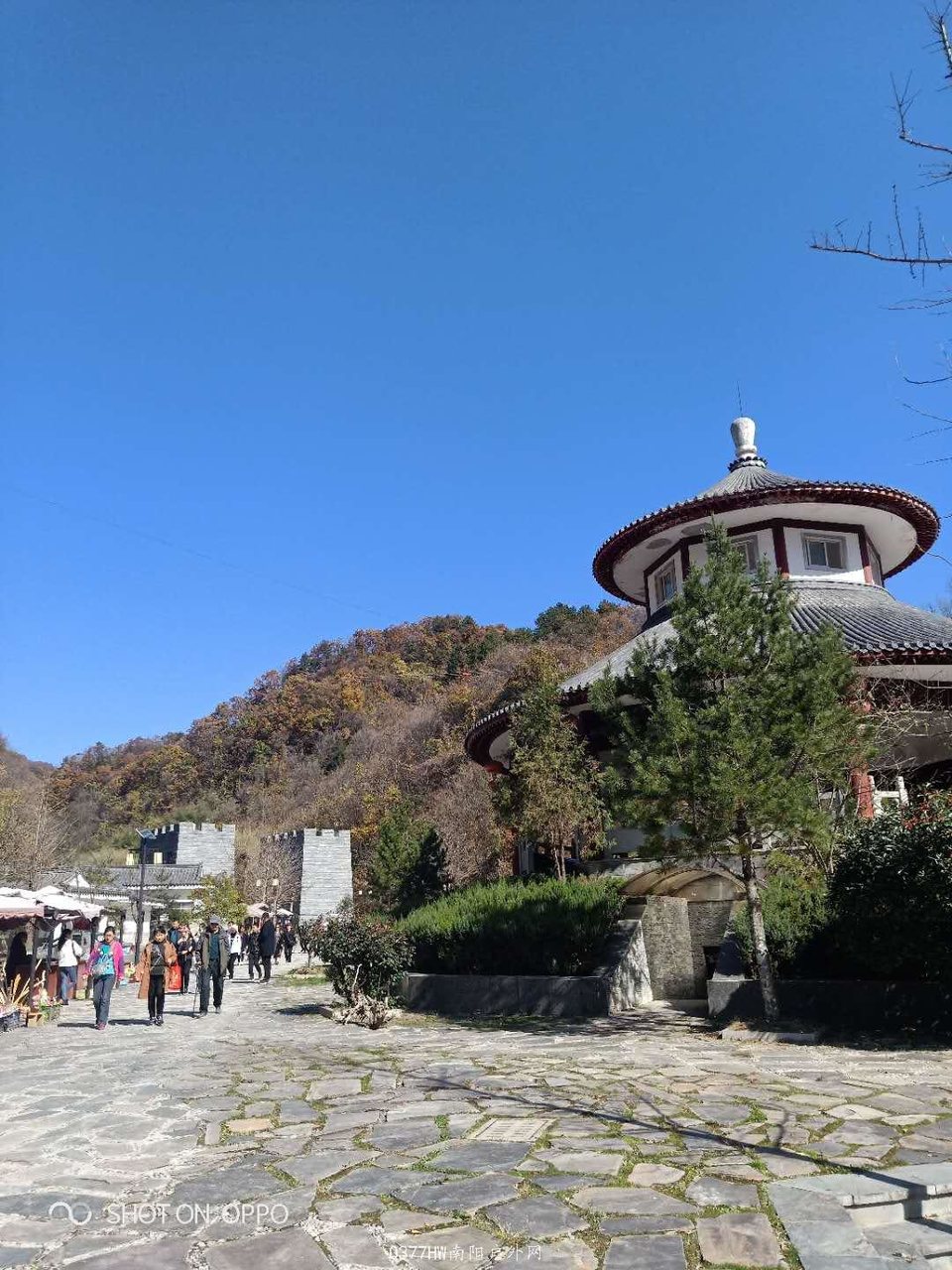 UAH-DJmn7RG56NYoBXn5sib1ZWmv8FFVmamT2E0ubSydaoqy7io2K4_8O3sybtLK