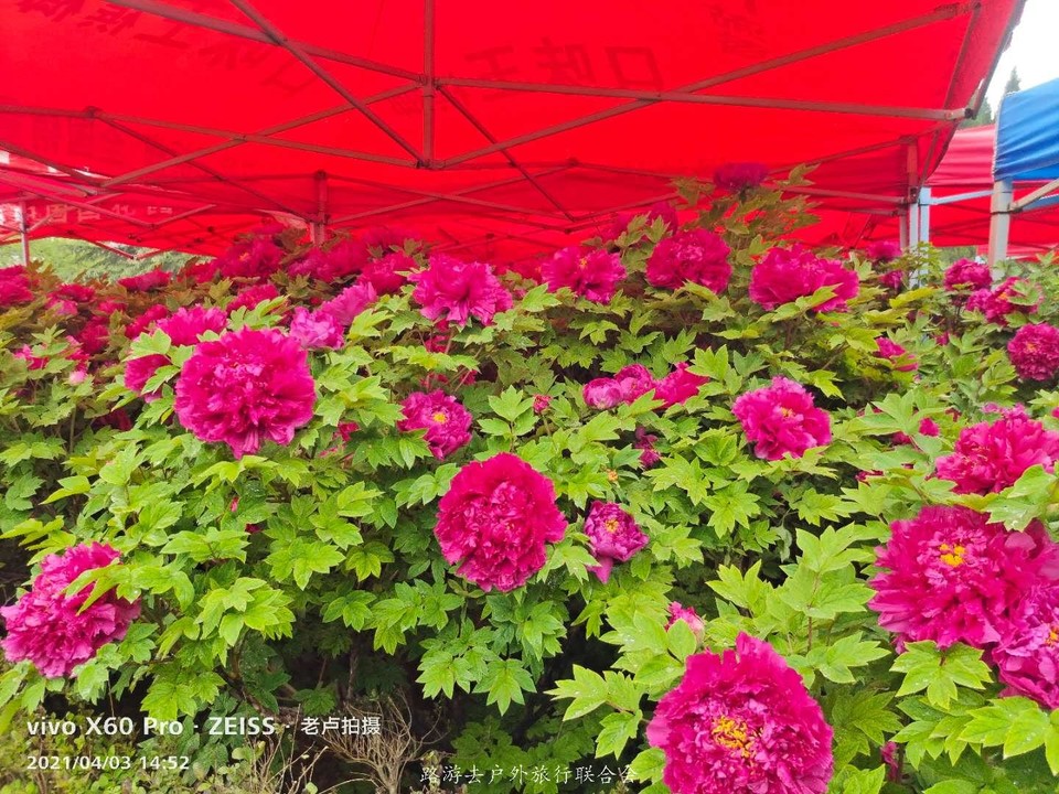 JPhqqUTSlG4S1ujt0cPht7obKJtfgFm1SbyiLQhrp9jQLpILaXo0RY-pUDZ8USJU