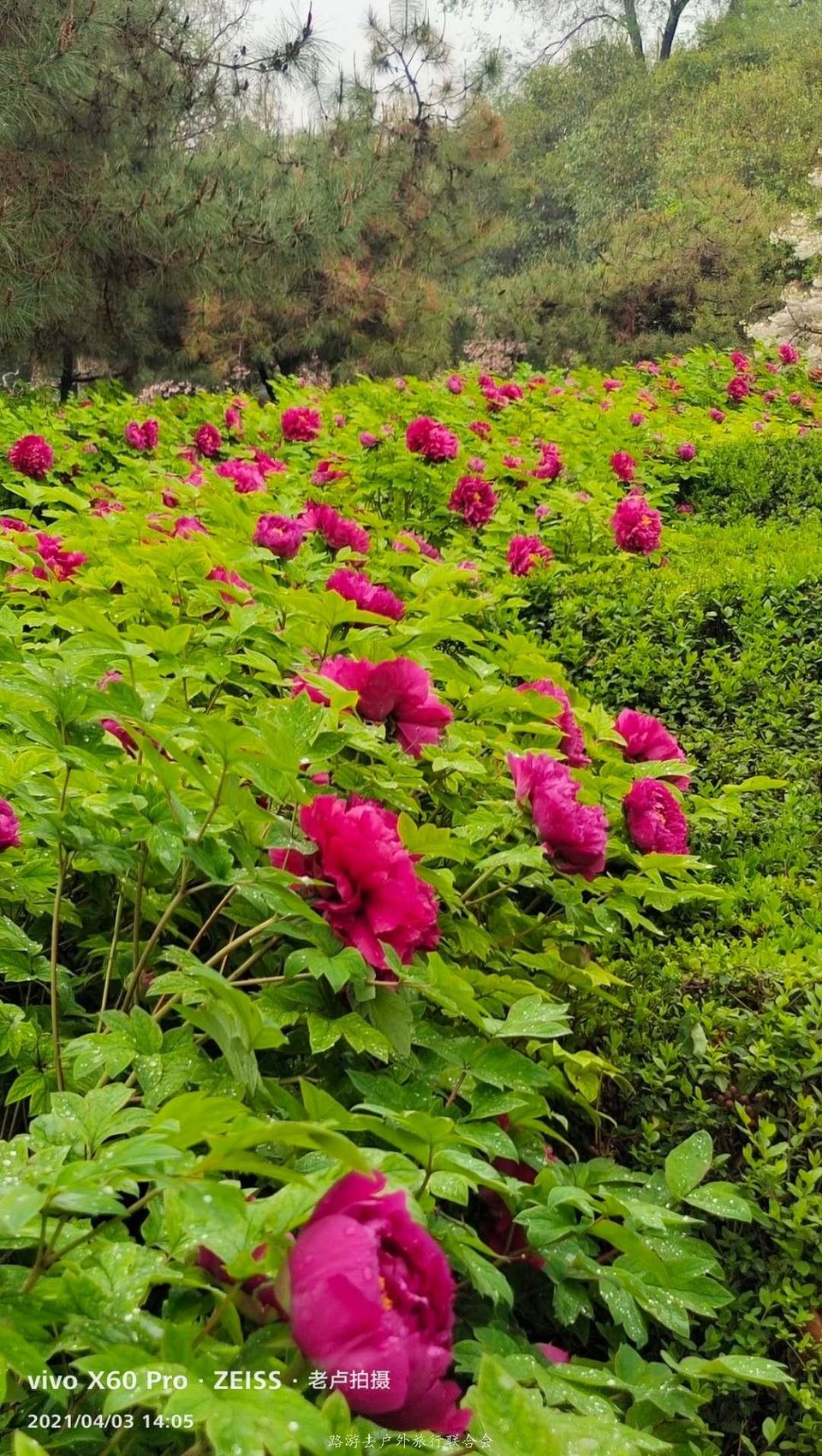 _JhjjS-RkqpM6oF4SoqYg15FJ2BxFu1M6q1cw2clLaHy40J4D0kkSSjtpukwtJul