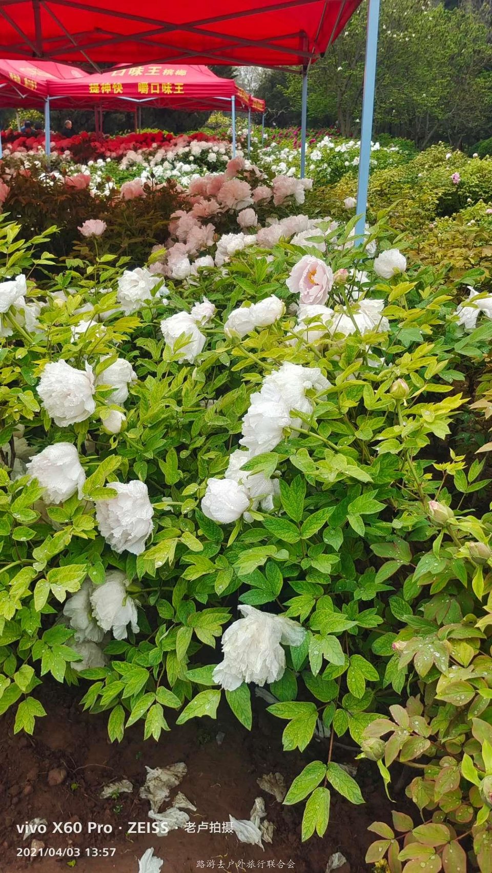 eMgdwJ7fCAwfc4ZIovz0BaESqoQQP332Bs2IJ-ggG9fqdda-Hp8u4_MX3fSY7yQI