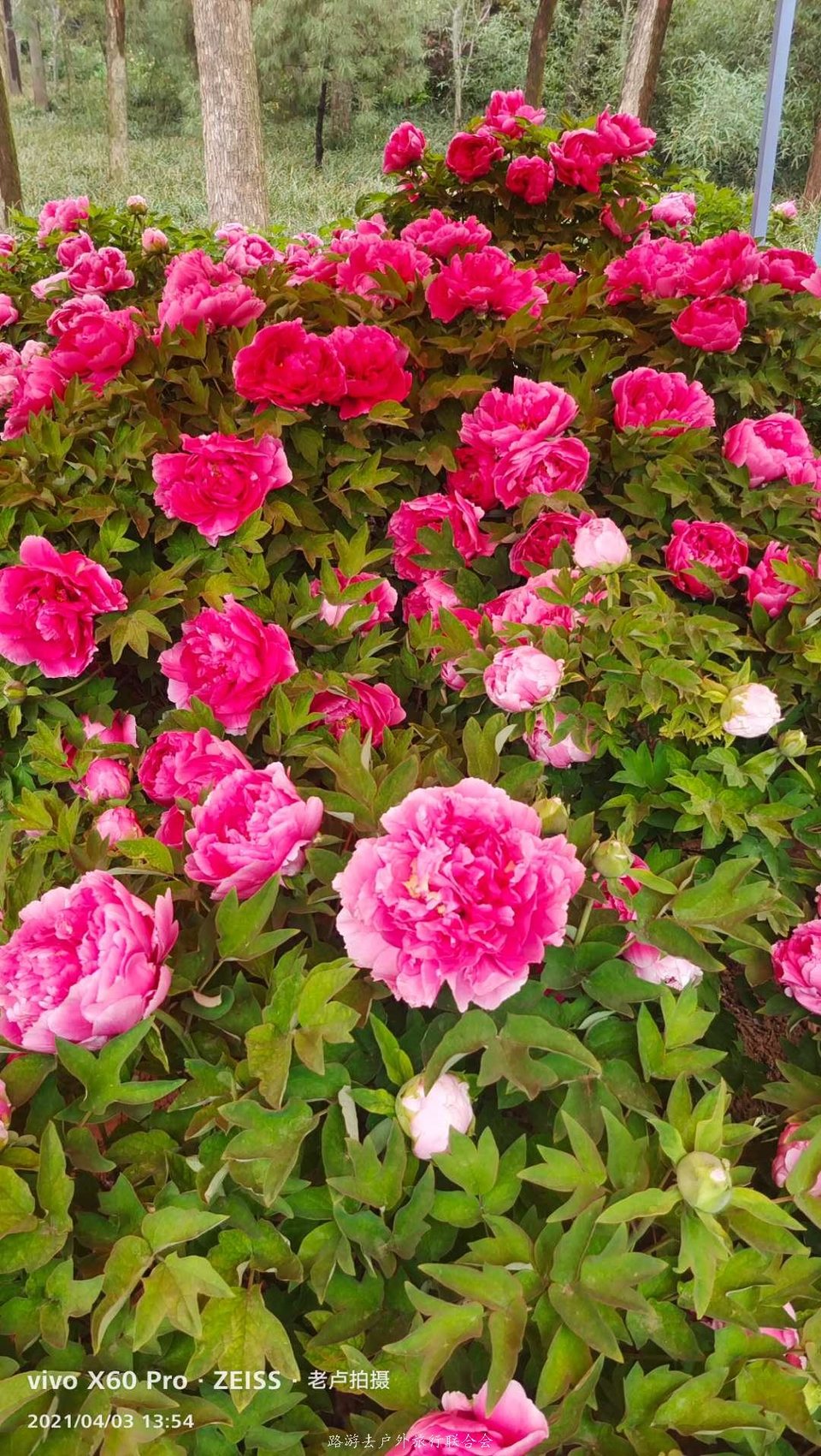 TCyiJZeeFDcnXlIE5Ojt4PQ4sRy0vmI06CqTtGz22Io3SvE1183N8cW7fijlEfFZ