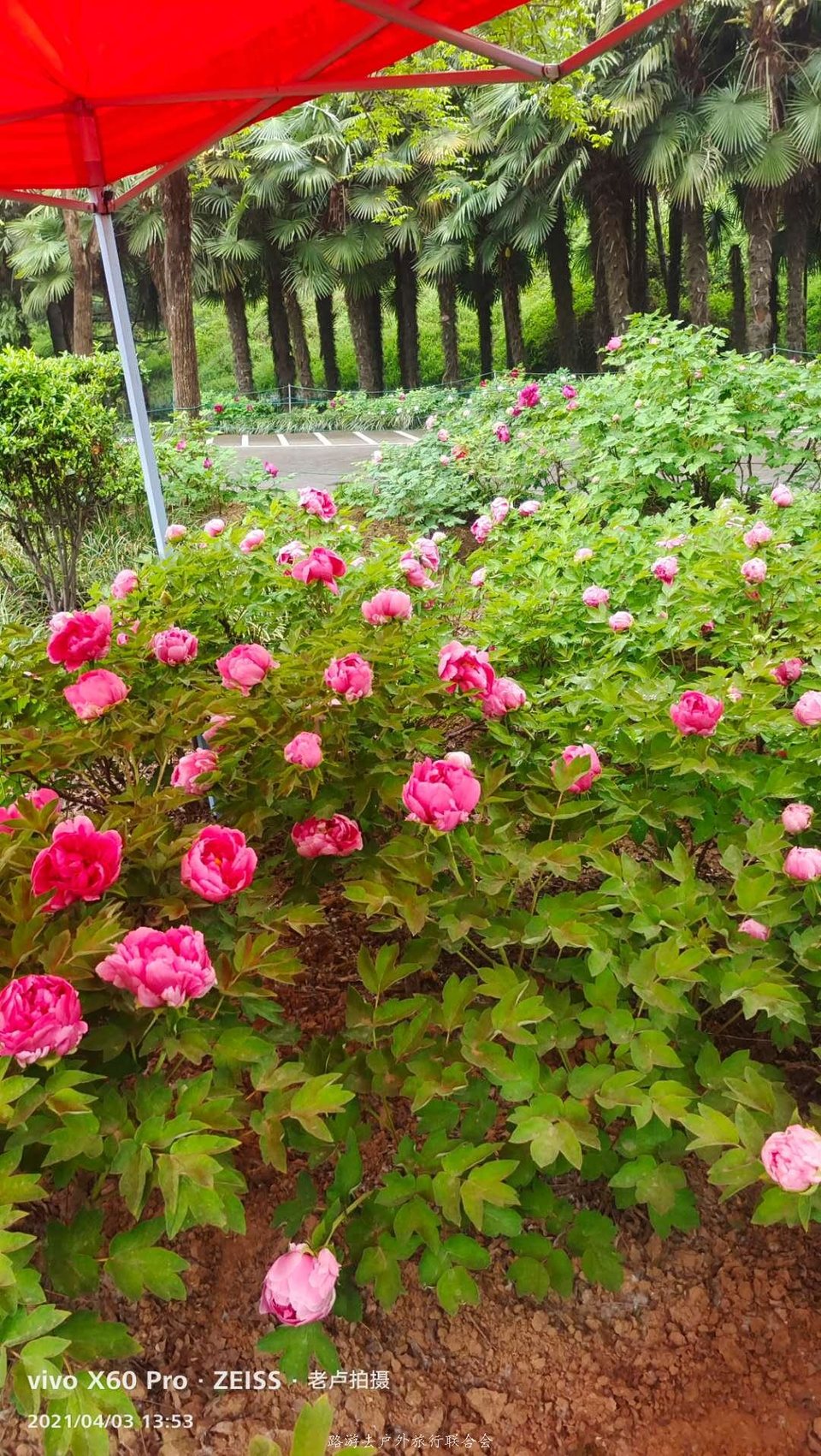 zzORGSHYq4LDd-CWeOauS_NC2M8-UtdxySX6CcVTB2VJsr4Dss_7AX7DjStIYfvP