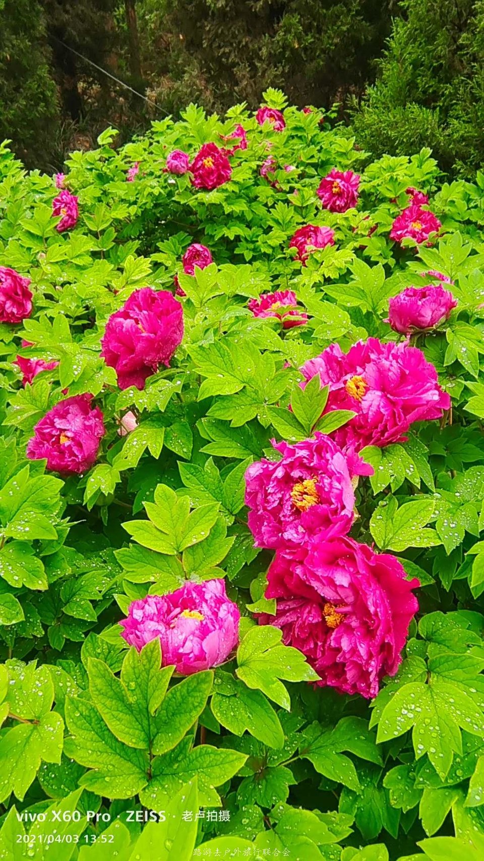 o1yjEPO6_yX6brCp46Ts0XD-WKUdRB8kyUwe2tKTr9gbTIb60uJ7UtNgd5SDwAtv