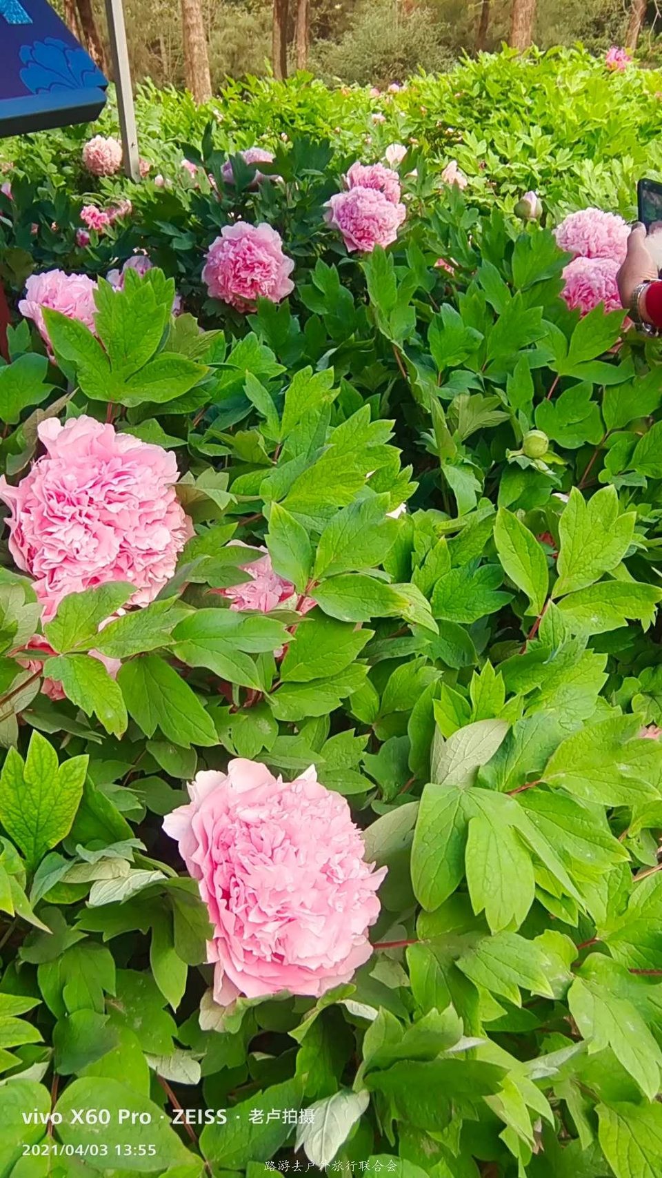 7z1D86S9gceIFWWMt6ttjY-wfNnvBGNKw4KYbpSPfYzaA7D7kWTAAfPA2E8ZSXOv