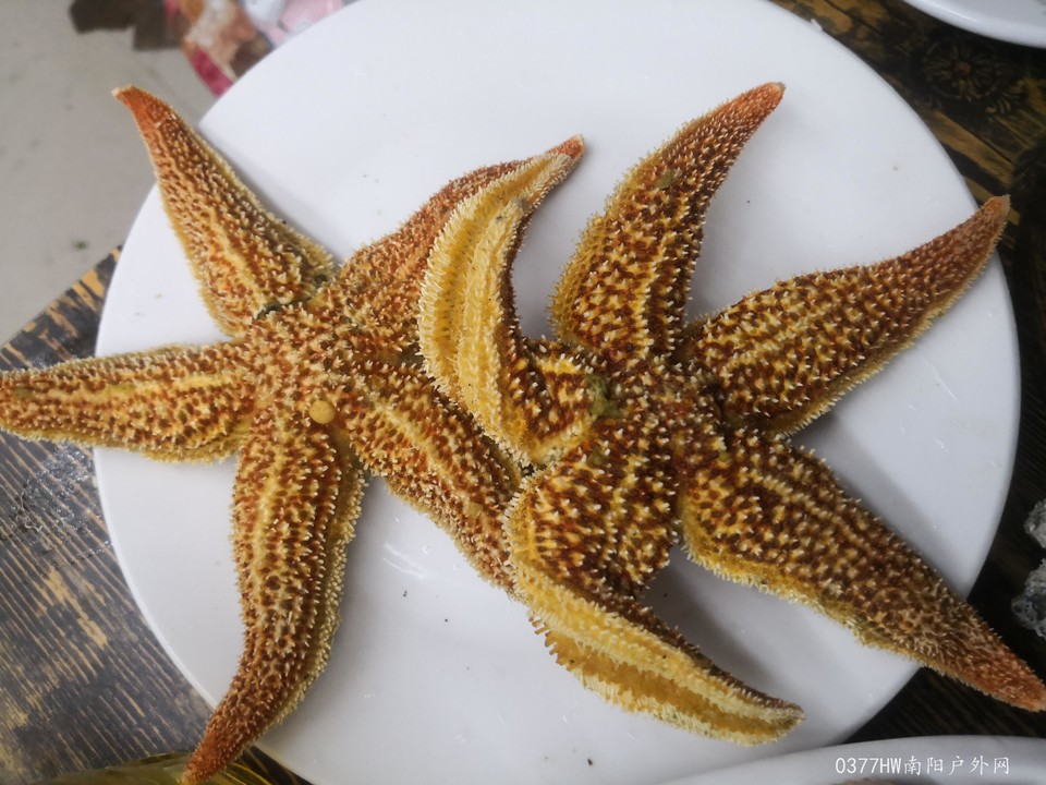 gSsVGrZXIuBKgcEojGEQRjSca7iqM0OJdAJ6BDJaIevvoeq7XVF-Qv6fsgu2n1EL