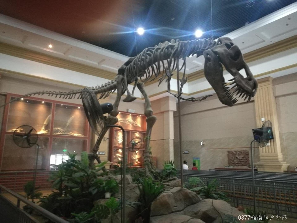 kJyKd06LX_nA9q4G-bH_ODP6F3q3l85Es-xBwzW0w0PRxcMgDWpG73g1hNP1z_0I