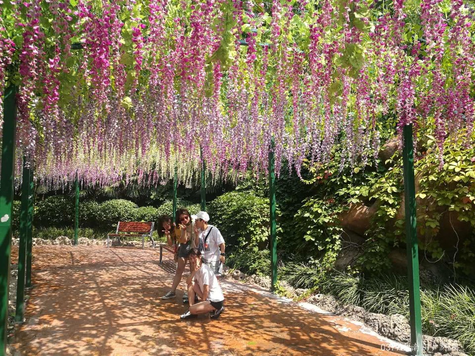 MGQ1qNW8BsFLI22pc_JI7FBFwV_d8PfSPH2Hag9-8rPYOlLY0j4SL02opdCLx8D6