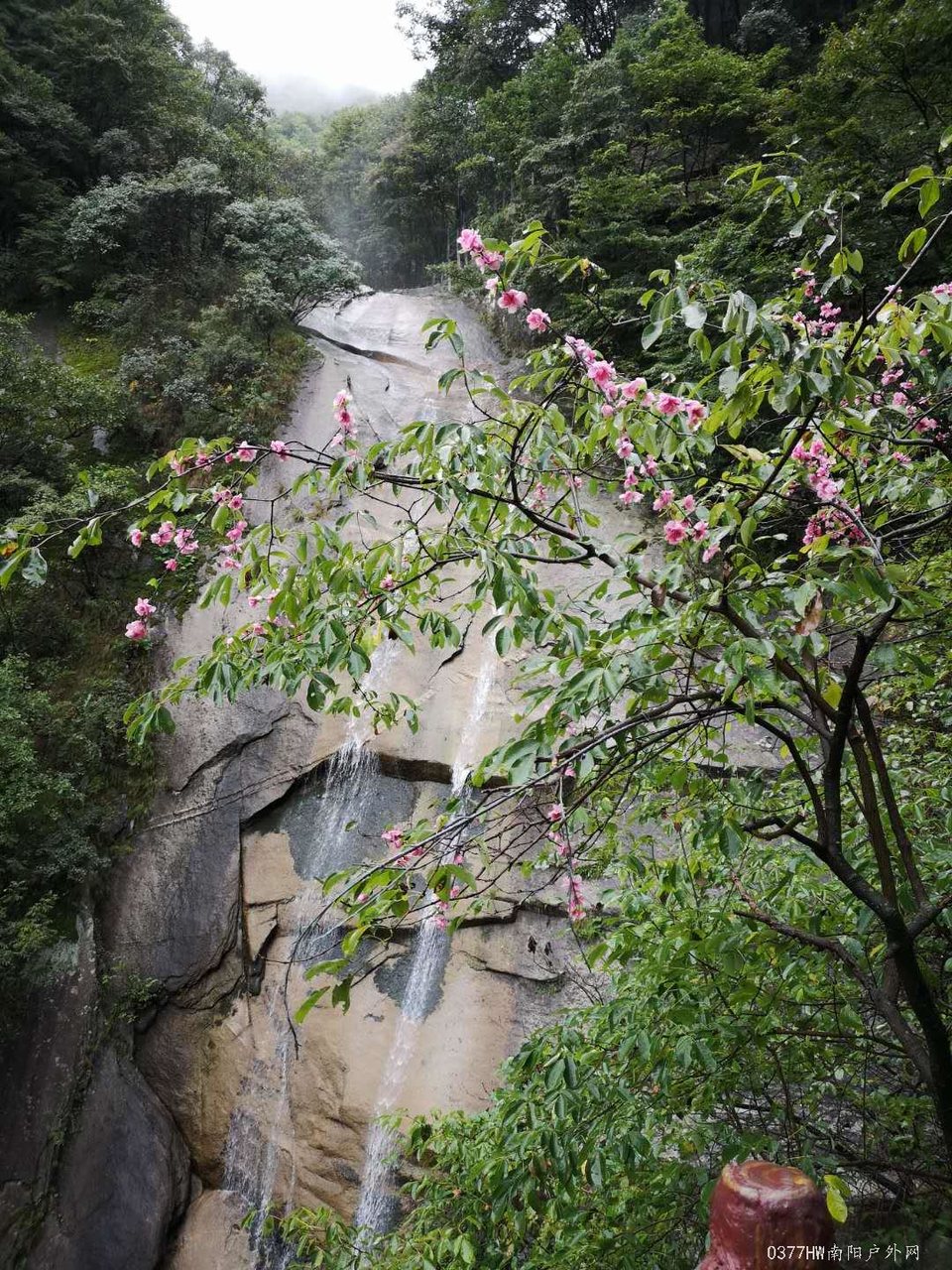 wZWZ3yYLkrU_TeCpeHvZLcV2iBdudlG4XA5mp5pDU-5ryeLaLzf-yhWa9n_Y9V5a