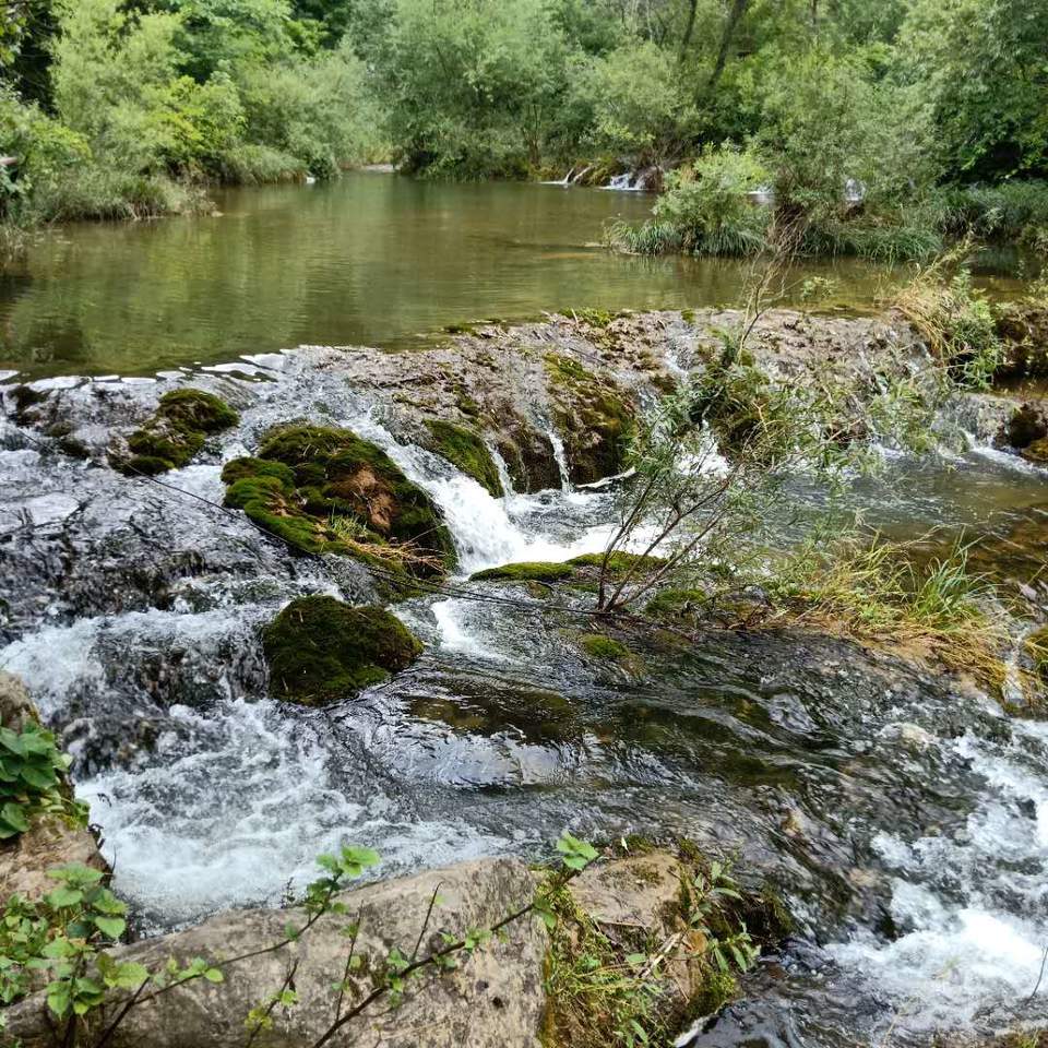 MaIqc0dwchmhKlunpwHWnWUOlvri7G_JY9UDmYrCzqphnFkIyyp-9A9PUJDQYIIc