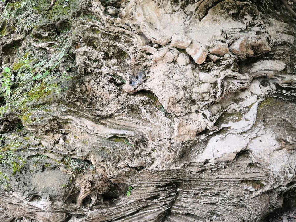 bPYpXzncSCbdE0yFCyRb-IJaSXhPhxZj_VhvDsw48QZlH9zaKiX31U0mIVPeez0p