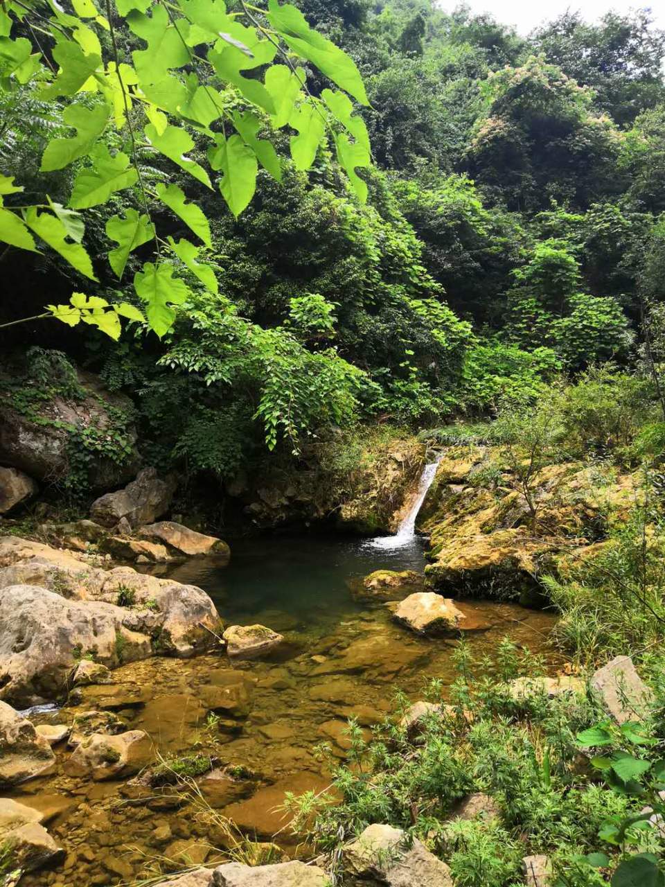 lK3I-cKDy21NmBFmTAGcXQSCnEWVbYWaKQGJx55i9jCMBdzhGYcxywhH_KaqK0GK