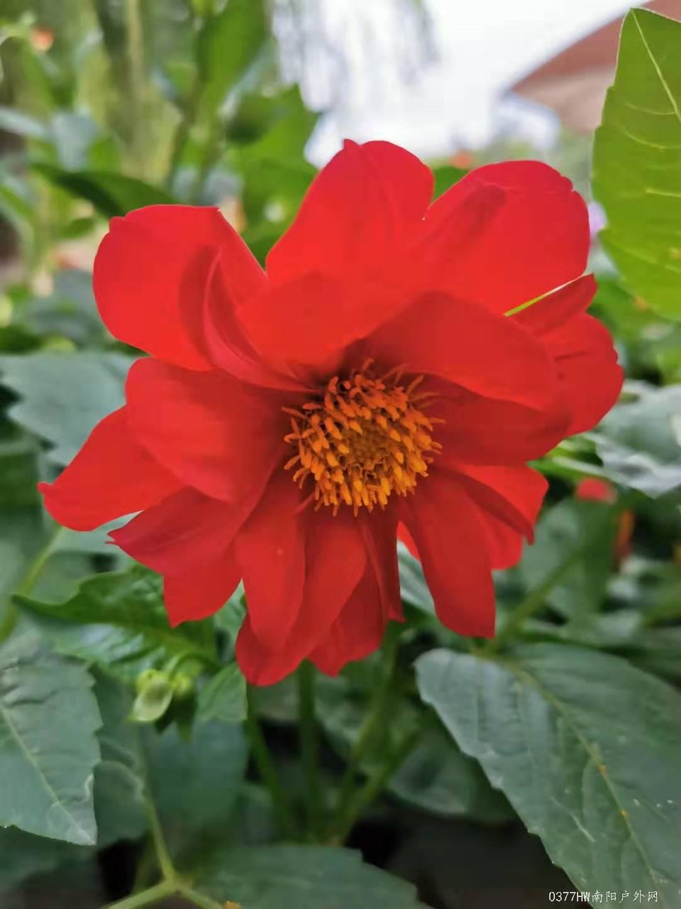 _ADlZigsNR5BTaxyQujedvhHHiPrZ0SCLITuz0EN7se2BtexKvhO6hwXXa2wQPMX