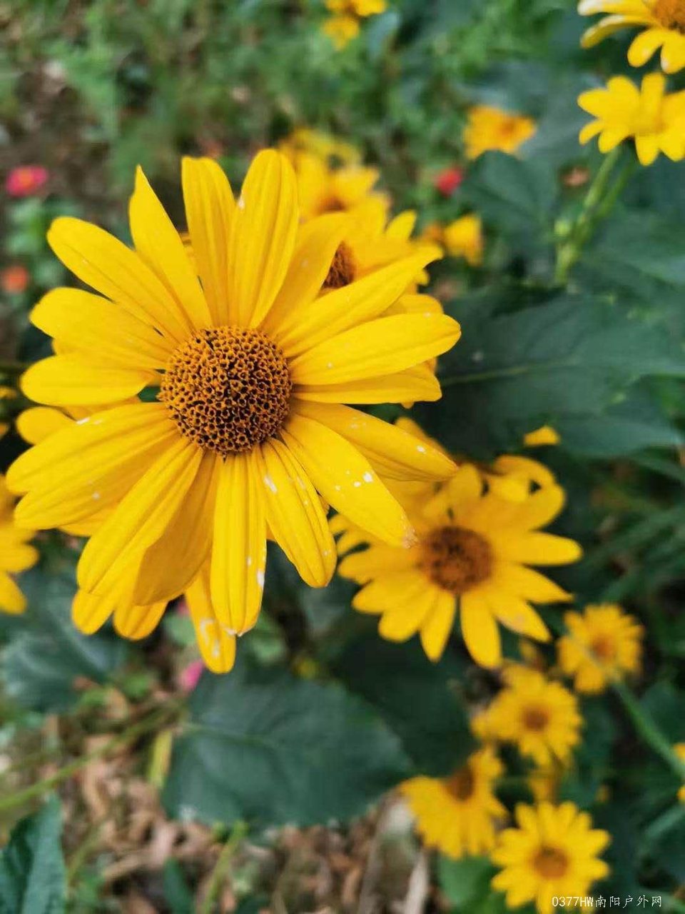 g9JeTZurVnukpfu6mW9sUMjrRImz4W1w6mvazXA9vf2TQgVGCqvLPSH8dLbJyc7X