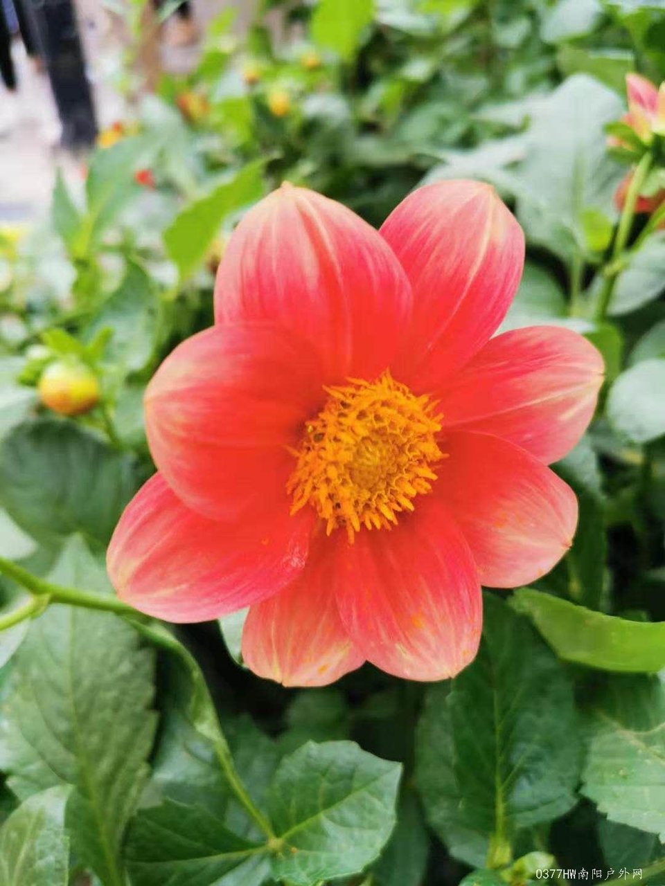 g2k3kTd_XzzPRsqNxuhFqkYqzZ8SfHepE7nq5lh3Z1s9h-BWiB9JXnMKmelGwoek