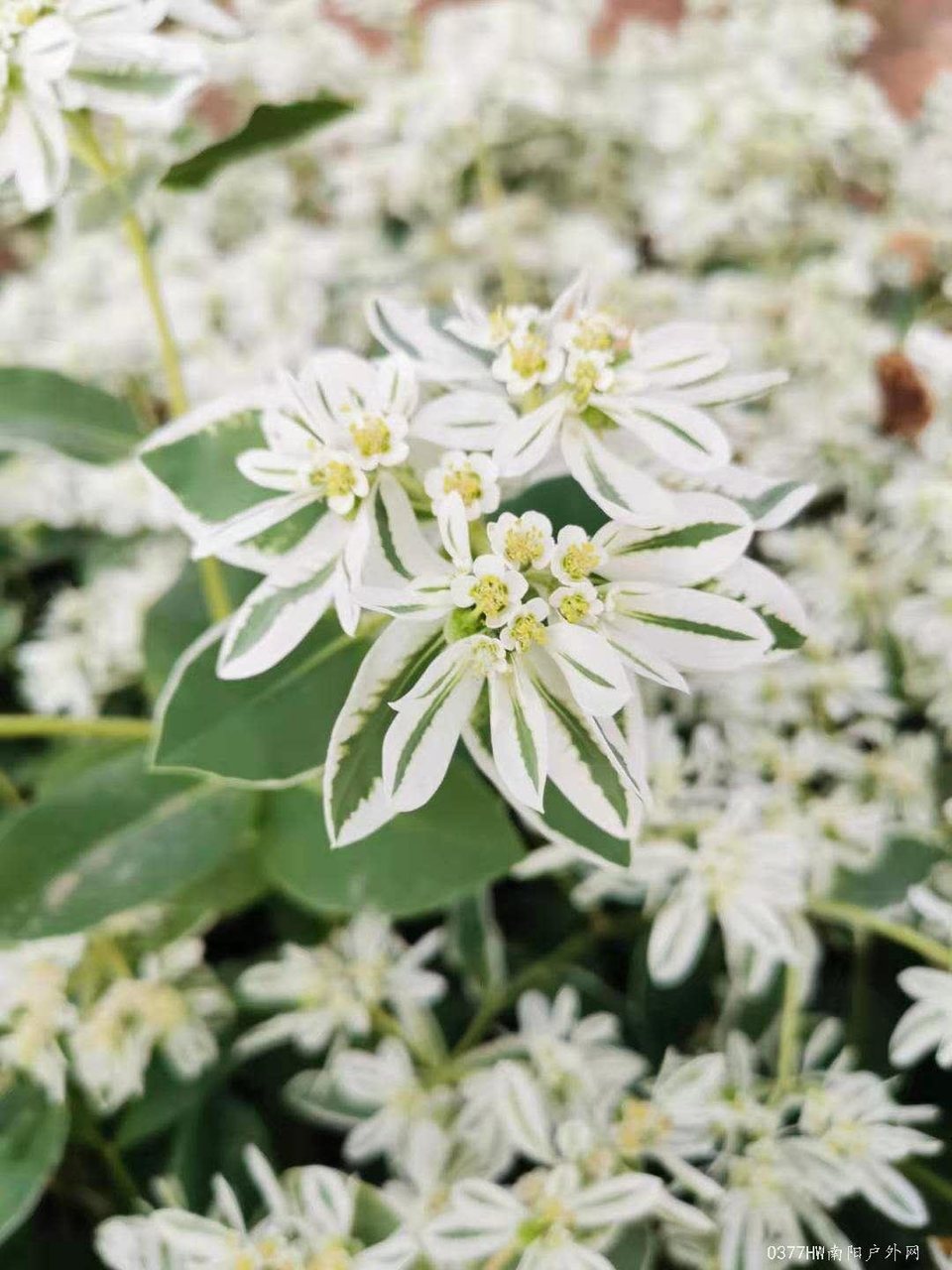 cTspPzX8DN7QxDB_F5O1tCdHFI_o3MTYtX6pY4EKYkF5hB1EpSkRc1DOSodFK2Nf