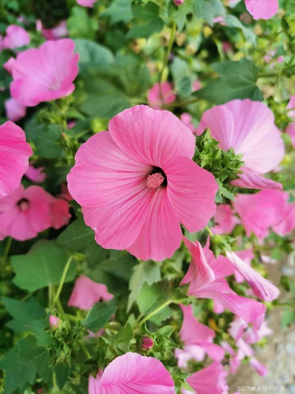 emodL6-12mOStgTi1bGSVt0F9P1xfvo8f0W8oBa4_yEvViI6tEidDvS4RIJh-eTv