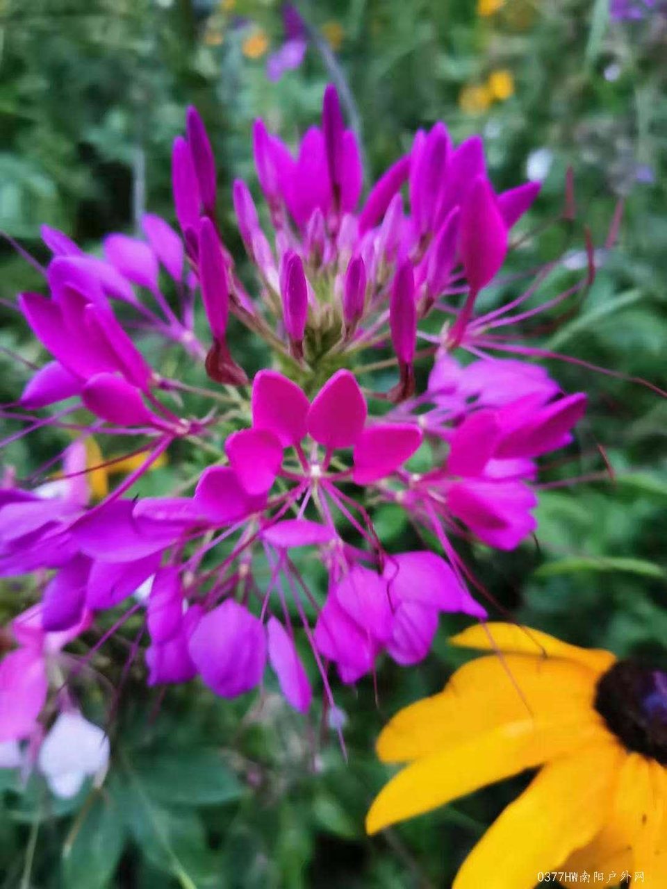 NBI7DeUHc731stx8-tidTBhv685F7neZOQO1NKvnCcJjfMpRu1Ct5zljdjY-Ly4s