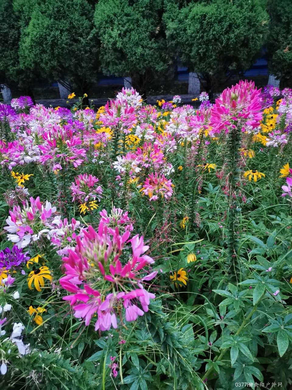 IqCkCbqs1FyUnxa6hzUgdjQMHvh9bbSI-rnZEwIM-Wv-GQxoY6fFJBjfHlncbDHZ