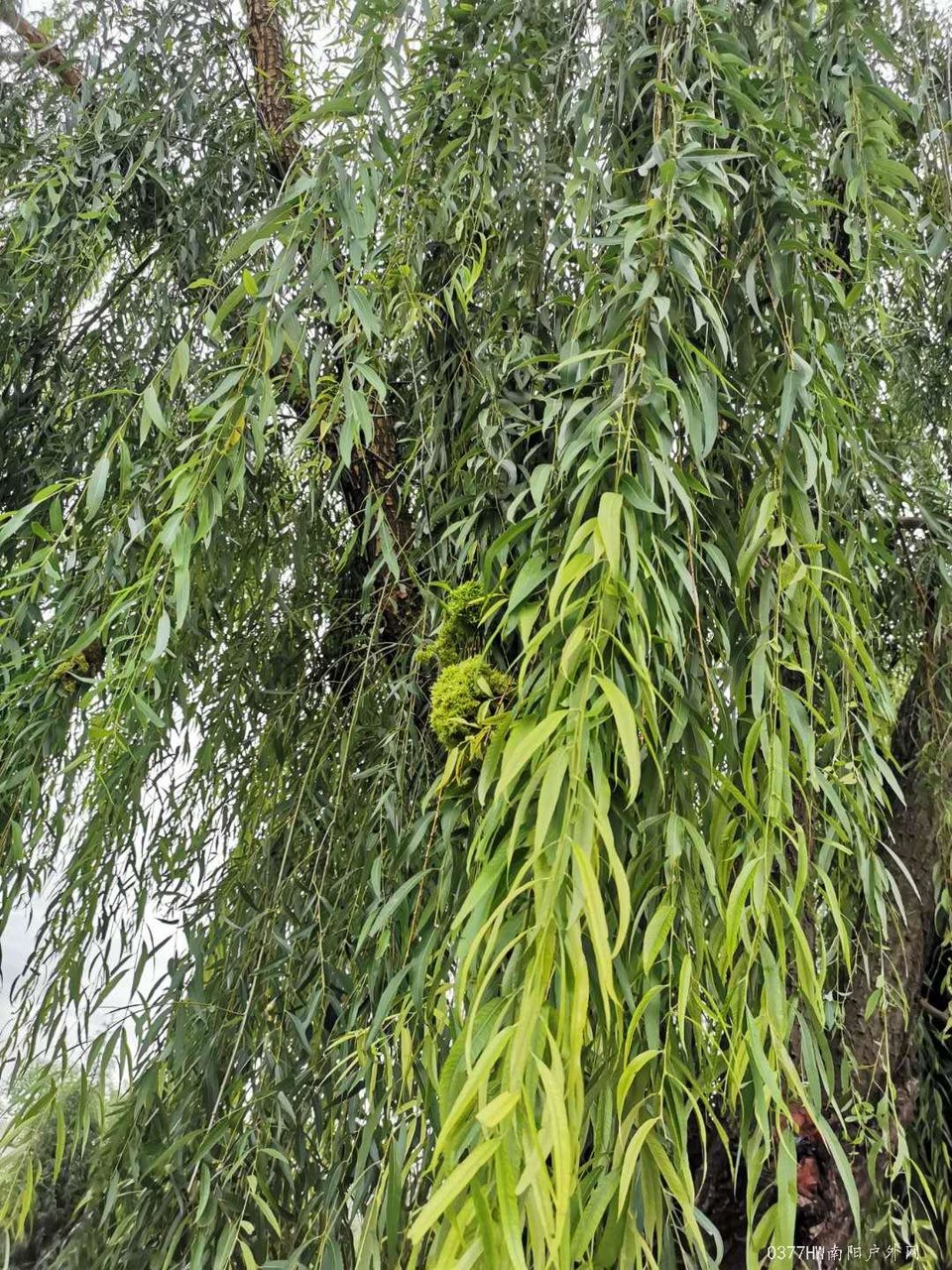 H72ykomRlyAuSdCMAI9FUa3K1aKE3DkV_5NkaK1Y2brBqJnIUB2l60KaQaPKiX88