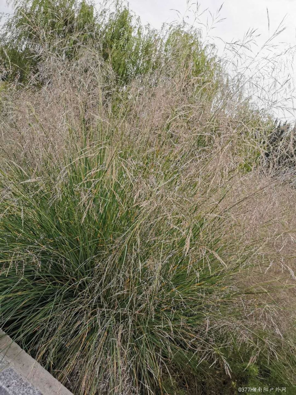 JyCKYz5EAxN2gMv2DBggovHXfkl2URbiN20aTIg99rC7nzSIB4zO9I_Wr1E4bot5