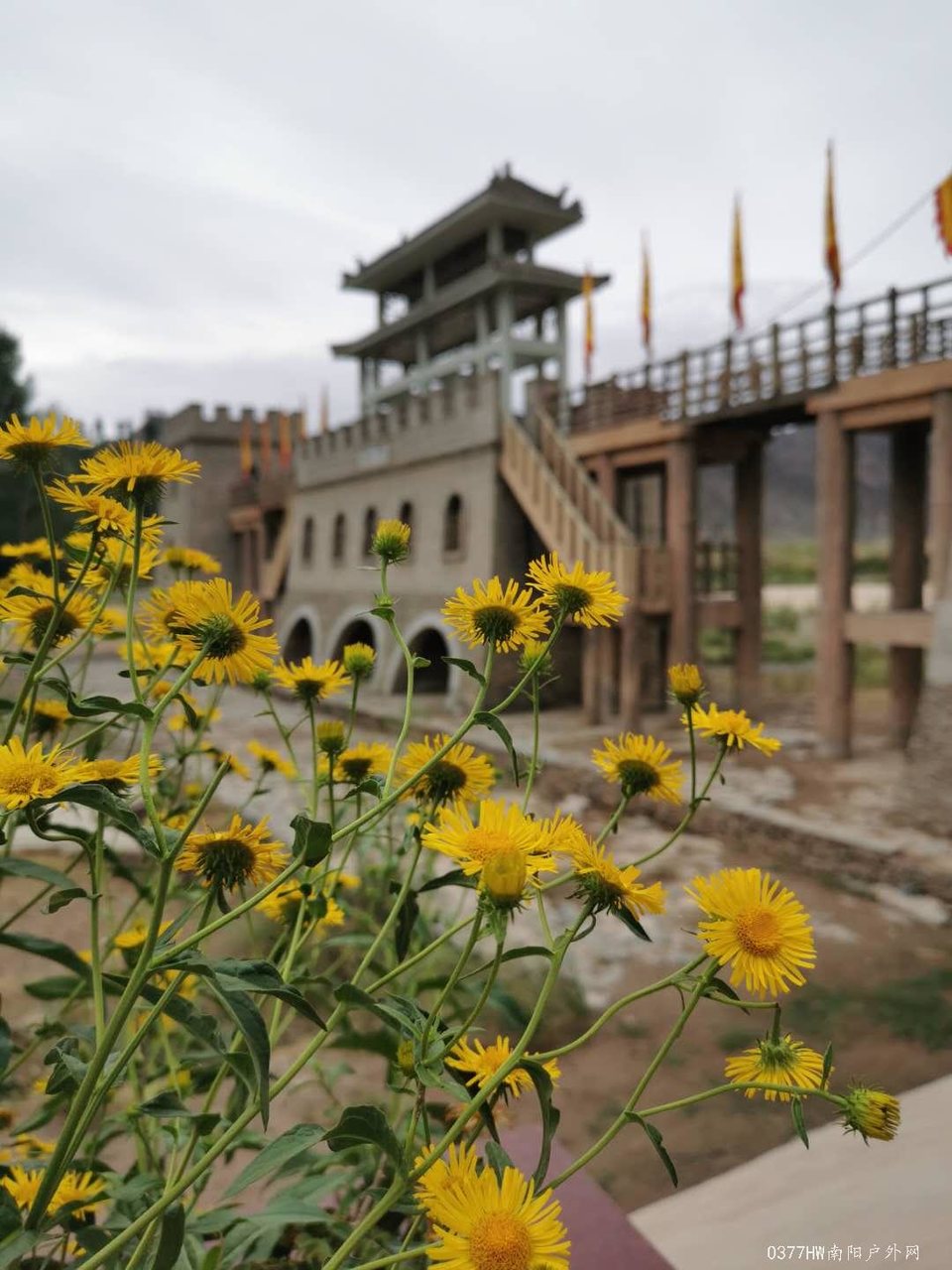 zwrNhnlBCzQrb4PE4arVkqLwpyM4rLZD68KnrAEt17DSvdeaTW9M91ku2194BAxu