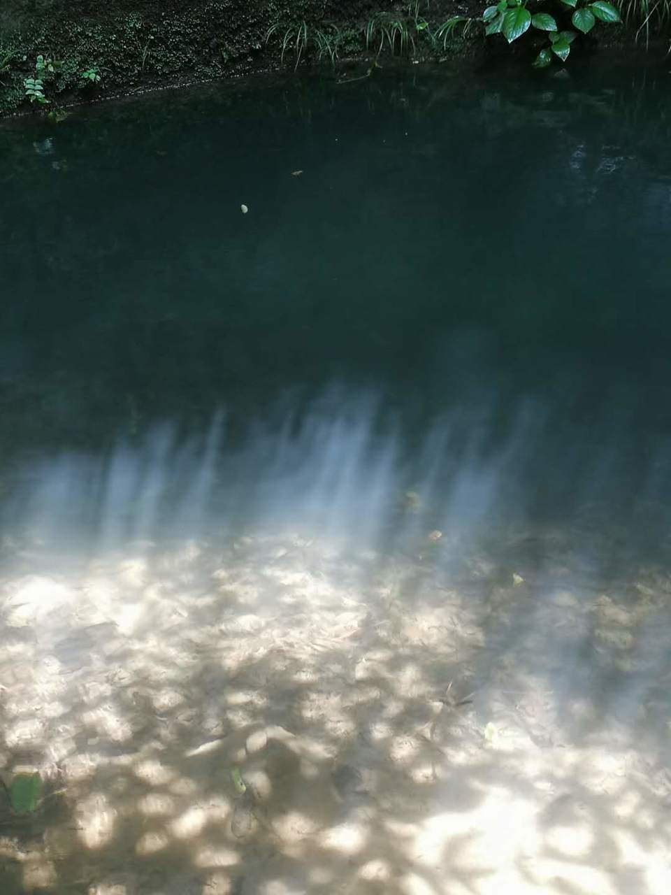 g_cD6Cv0_6VVQB3u443NPe8EuCjfHMBcVTbV7TTsRlGYbptryZURboYgmbd8lFrP