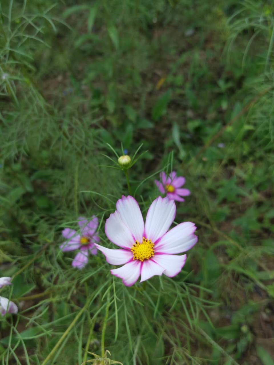 LP0zvT2yqx1rn-RJ3mHTqPFiRgWThvPgh2b21zrM193hc7LAOSFBOlvHhCTaU1u8