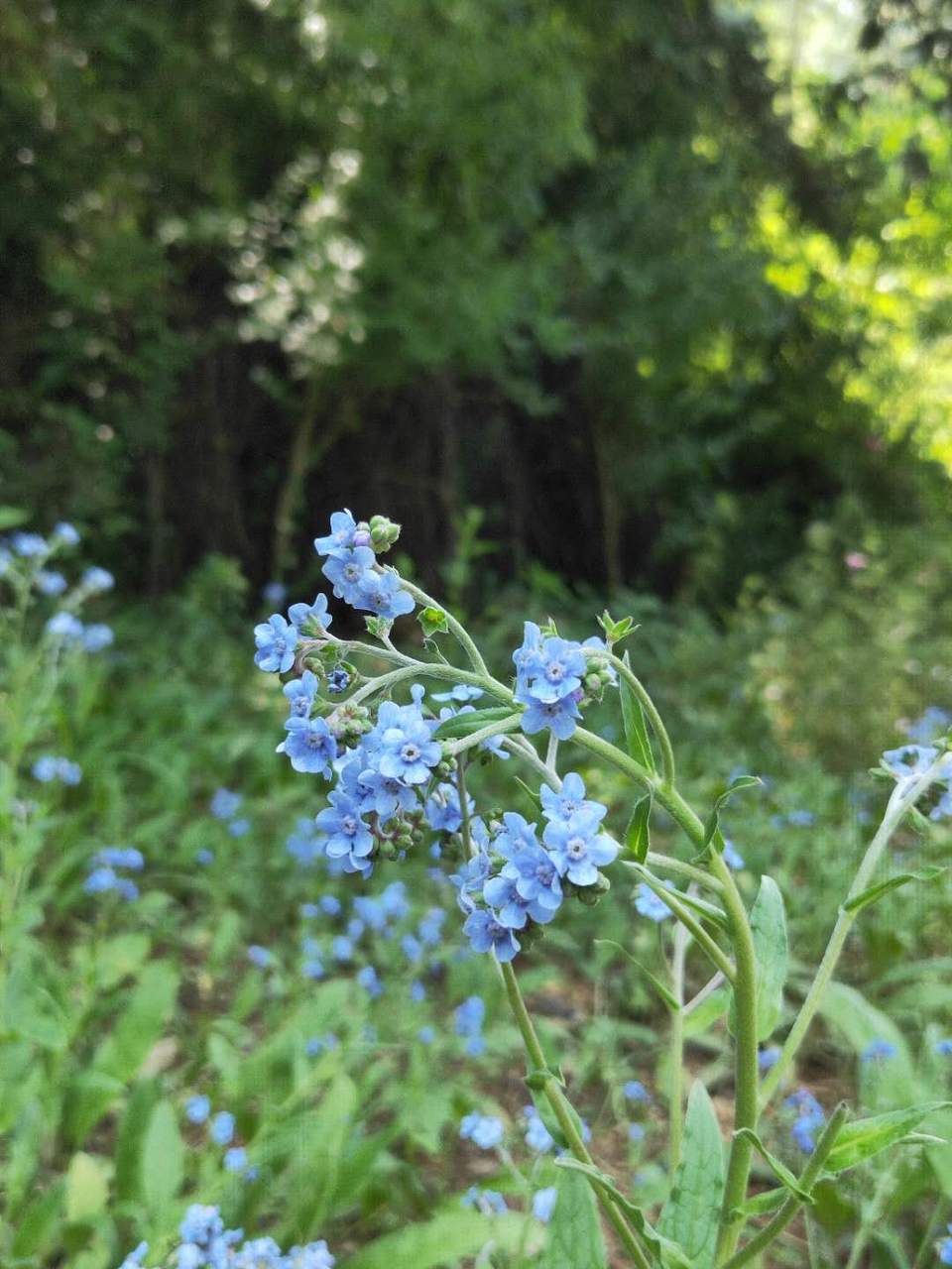 3a0OukmiVcgC08hEUd14UWu6BhNNdi9wqHzMVhVS3XQC1knpJIPuZT899NV1GN5v