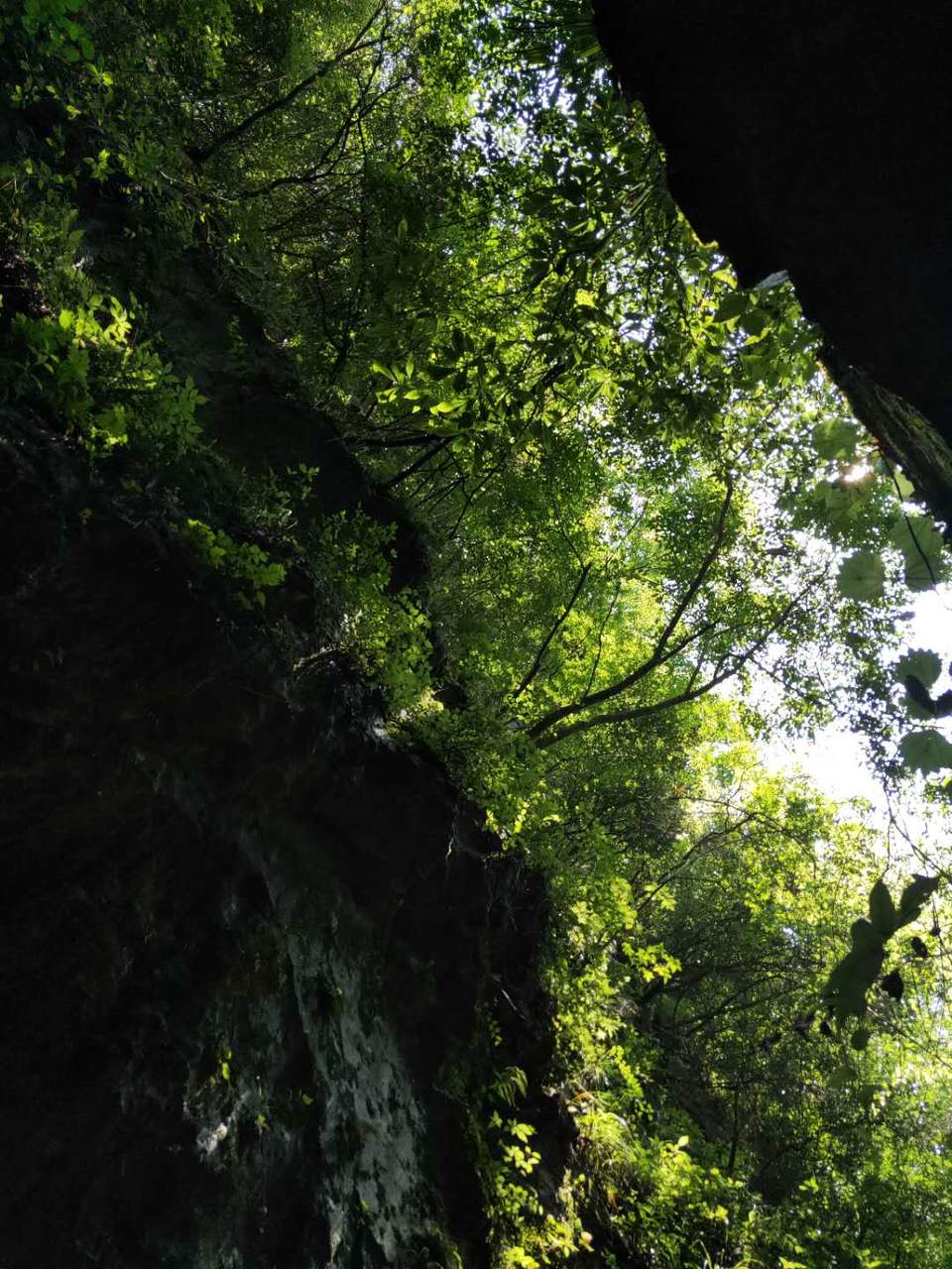 cJoCPEytBV_gC0NGB6cucfU1oGZjW4atP3KgGIgQXPLXi9P4JYxh55XcRmNT2Cq8