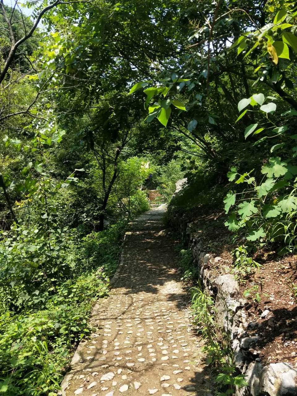 tl7tID8OyuKaen1y-lxGit8Q4Mcf4um6SUJogkNxOUpig1sKZzm4XD9eIU-eDMkW