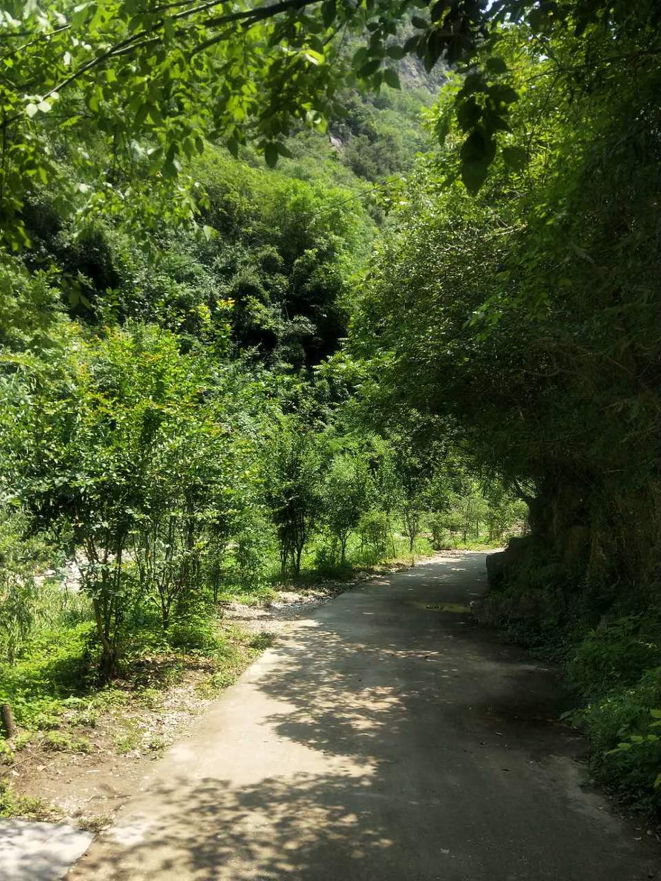 YoDl2l5CPBAfMF1iyzioNEprwomPqR7pmXrmxn6dWTrkqEE2z4fZhtPN5MsAaeg1