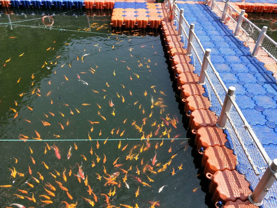 sk8bY74x1kxARu1aow9uIuX9AWN82_IUiJIyo3tQddDaRp4iwYsgTcXSg_aeFTGO