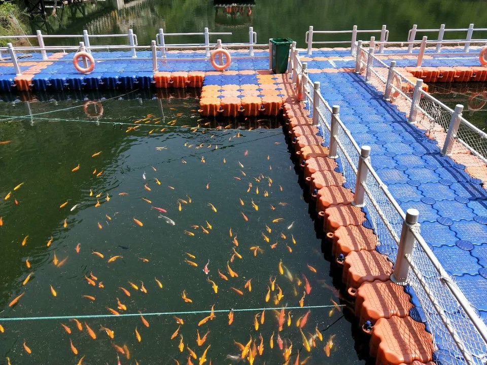 U0VJR4VVsanAWtWjLm_czS3_Qr_XFkOumd0GJqqosqk_kw1ljhElOCx1hmIjehhn