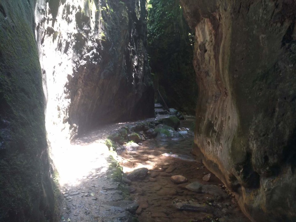 SNP0t0lEzgkZvyYItpsKnHgVMn9RaCz7EPYELhH5mrut9jOOYFVKzZlxVTj1BdNY