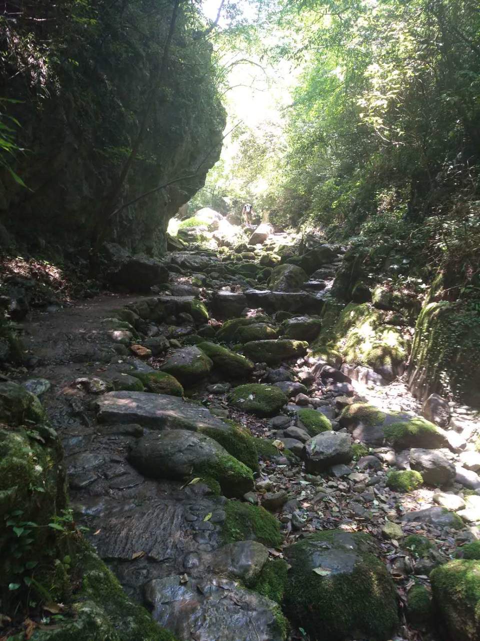 4A1geT9ec6SA7qG4pU57pugXqN7nRU7llJKCrPigqqNwltq-Es8p55-E0CaLlWuc