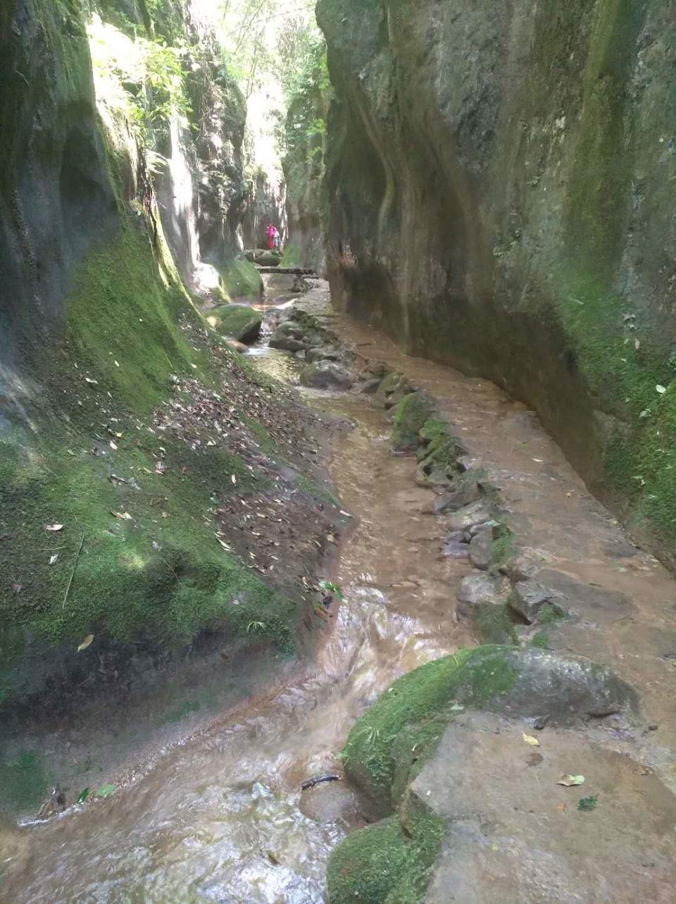 yo30pupMFdwrAwcrBr28bfa0g2naC13Fa9PsOo0WSVTjhL06Lb3br8jTaEd8oXCO