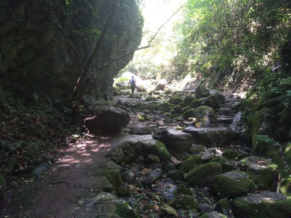 yAruItLtDmJPvrkfrmn5Q6T-2s5v3GWQoY_Ei8PnkdiuNBQhw90zG03FQQngsSI5