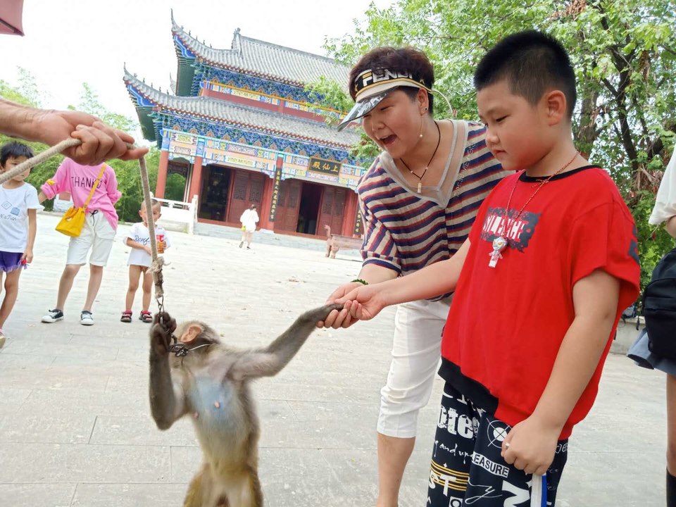 0pa8N5_I7fRIGfi84OZfq6Wkg4T7PvSMSdpp1L1pGlhnc9ZRDp9Uj_28iAyhpd8Q