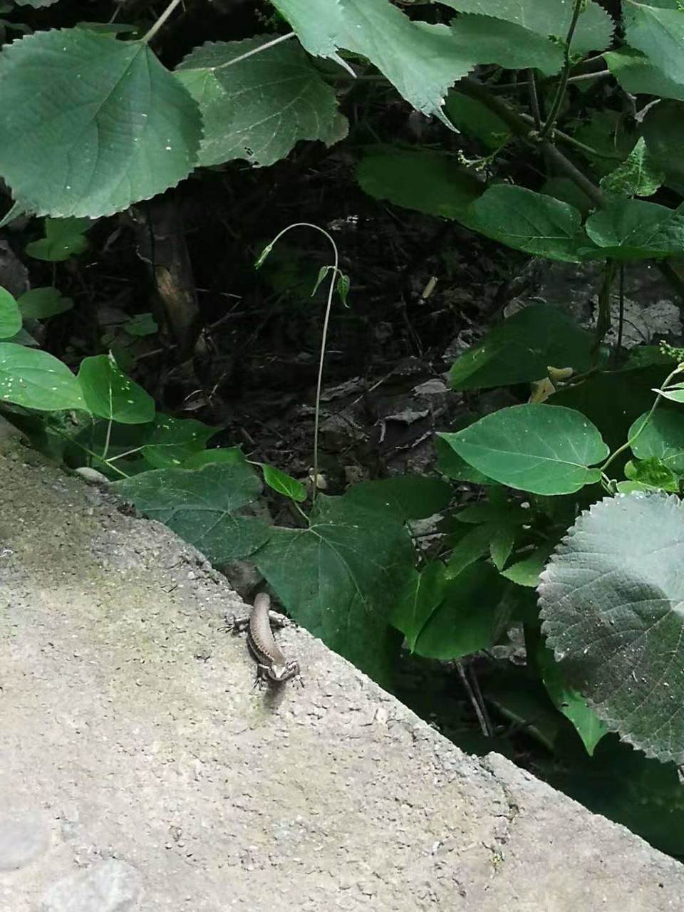 ulojKzlRWBxPJYE4t2BklOyJ-AeT5Bm_tAkGCWmgOJVMcvuNscQMTJVzx51XjG3q