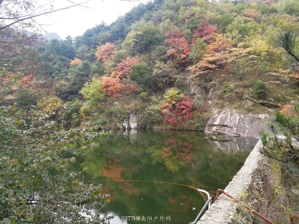 VaydYgkUbAEkW-4ouBsrEYhfu5NBxlBoRH-RBPqtOW_NvYhNqCdYd9r_71pIP1Wv