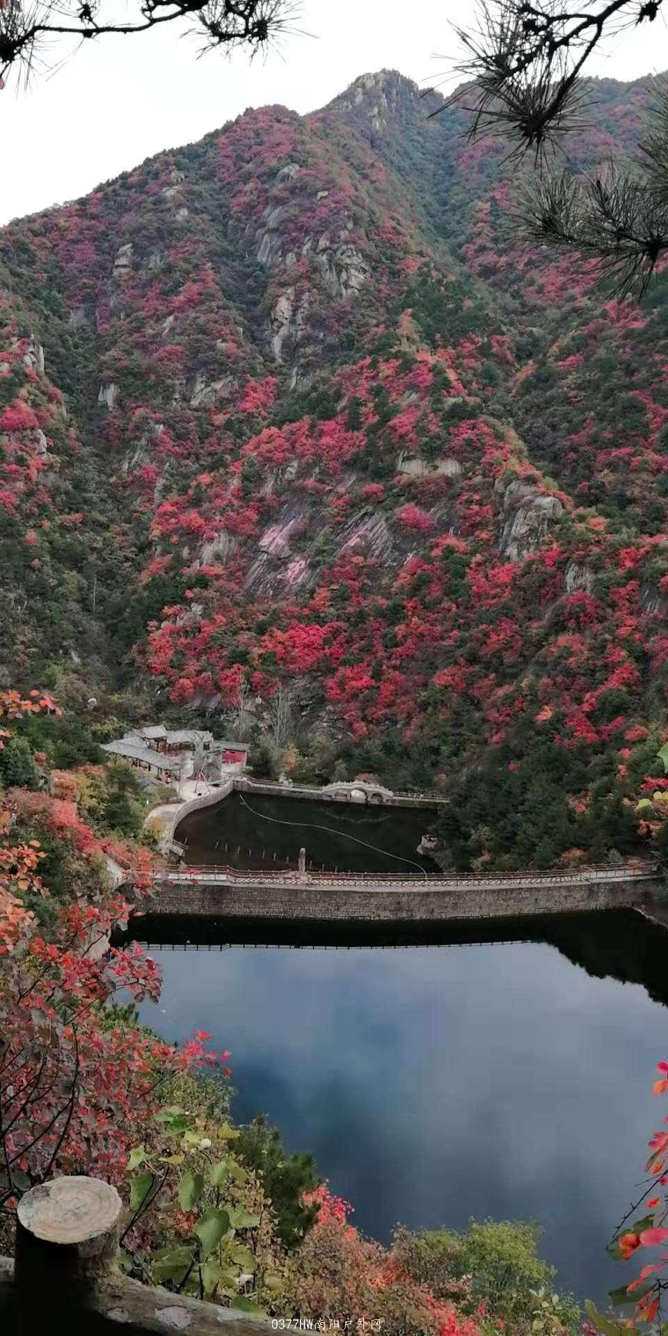 Eg2SCzDjeOWK78lrsPQAPleUMw2Cn_2PAEeQtUrjTnLnZxMI2rkMYckHwSKELugW